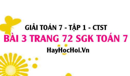 Giải bài 3 trang 72 Toán 7 Tập 1 SGK Chân trời sáng tạo